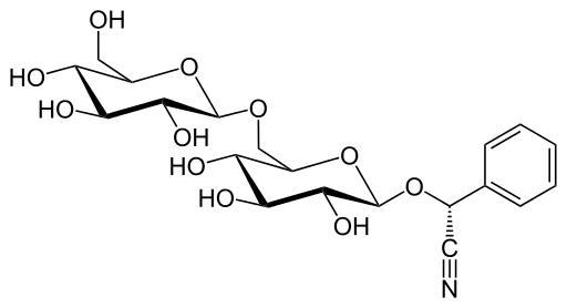 Strukturformel Amygdalin, Quelle: Wikipedia