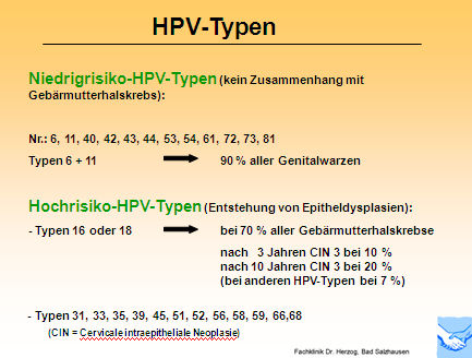 Abb. 2: HPV-Typen und Gebärmutterhalskrebs