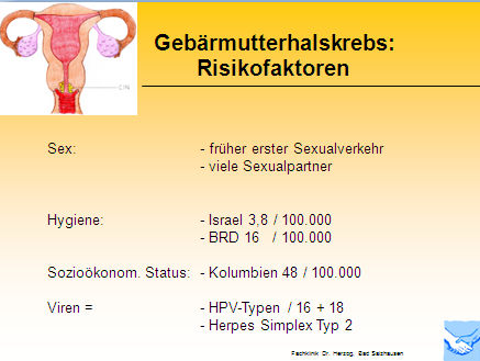 Abb. 1: Risikofaktoren für Gebärmutterhalskrebs