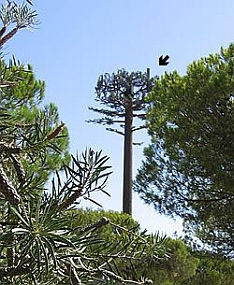 Als Baum getarnter Sendemast [Quelle: Umweltinstitut München e.V.]