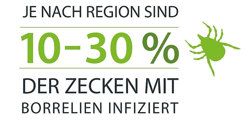 Zecken mit Borrelien infiziert Zecken mit Borrelien infiziert