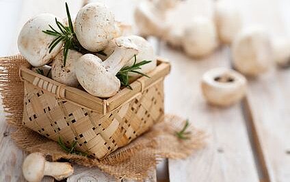 Champignon-Aufstrich