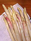 Spargel