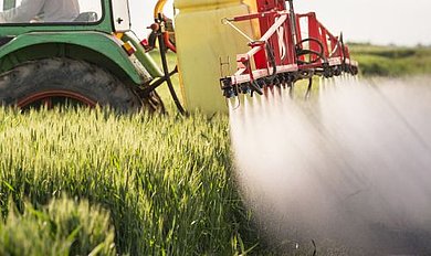 Zu viele Pestizide verhindern die Entwicklung natürlicher Schutzstoffe der Pflanzen, wie sekundärer Pflanzenstoffe. (fotolia.de © Dusan Kostic)