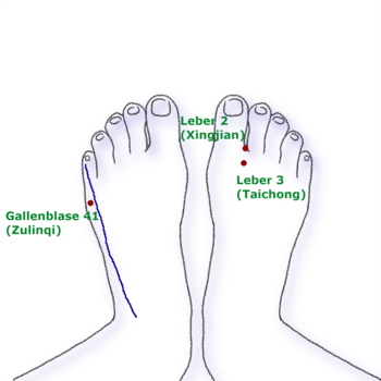 Akupunkturpunkte Gallenblase41, Leber3 und Leber2