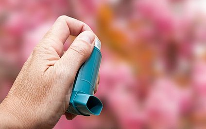 Cineol verbessert die Asthmakontrolle