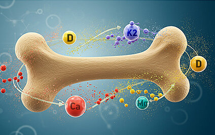 Vitamin D richtig kombinieren