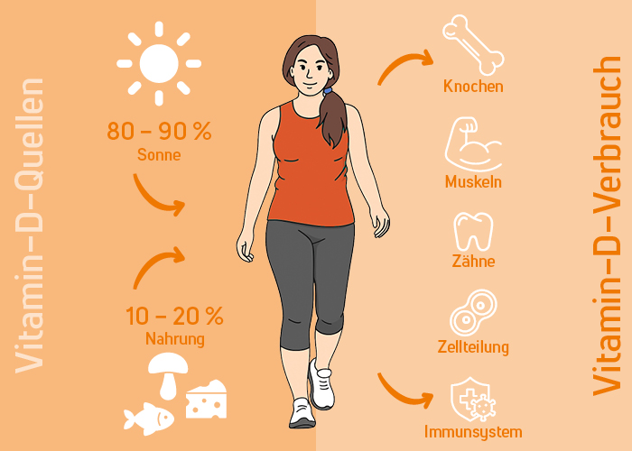 Vitamin D Quellen und Verbrauch Vitamin D Quellen und Verbrauch