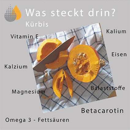 was steckt drin im kürbis? was steckt drin im kürbis?