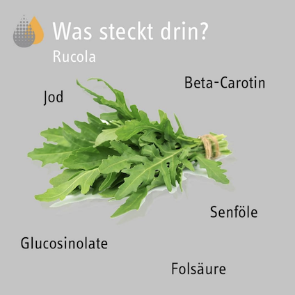 Rucola-Inhaltsstoffe Rucola-Inhaltsstoffe
