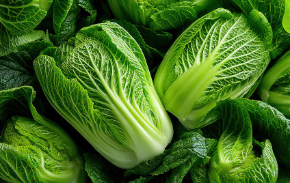 Chinakohl-Tofu-"Rouladen"