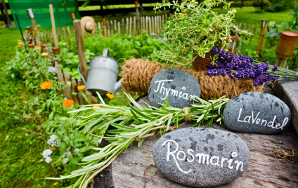 Kräutergarten, Steinen mit Kräuternamen