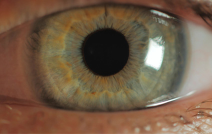 Close-up eines Auges Close-up eines Auges